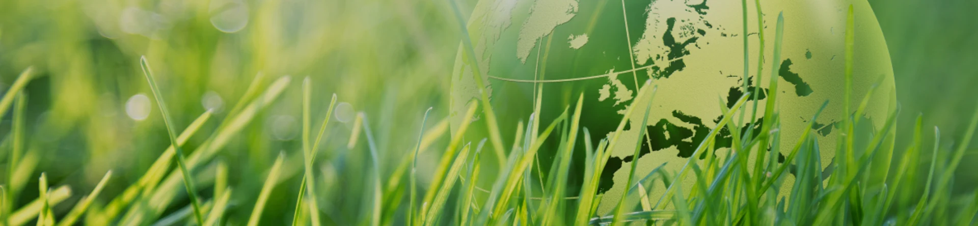 Le stockage au lithium transition votre énergie vers des batteries au lithium-ion durables